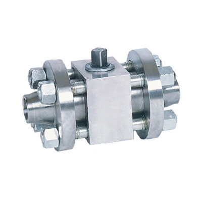 �߉��������y